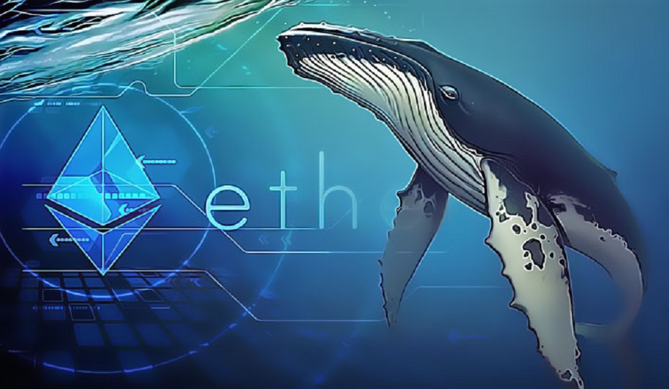 Cá voi Ethereum mua bán "sôi động", đạt khối lượng giao dịch cao nhất kể từ tháng 01/2022