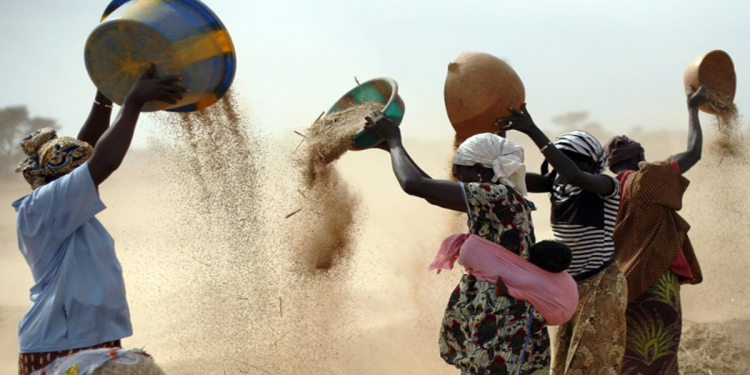 Cuộc chạy trốn của châu Phi khỏi cơn đói và sự khủng hoảng lương thực