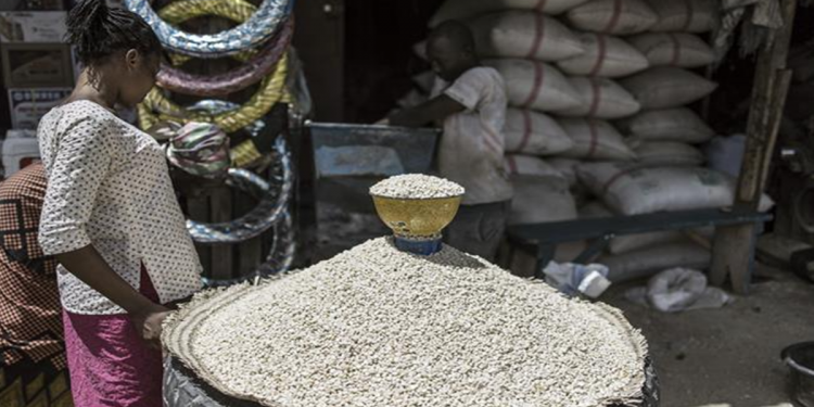 Nga ra điều kiện để chặn khủng hoảng lương thực toàn cầu