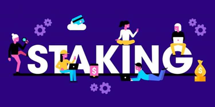 Staking là gì? Hướng dẫn Staking Coin dành cho người mới bắt đầu