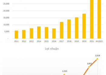 ViMoney: Kết quả kinh doanh của GEX