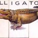 Chỉ báo Alligator là gì? Áp dụng tuyệt chiêu săn mồi của cá sấu trong giao dịch