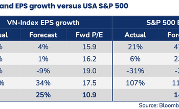 Sếp Pin Elite Fund: Với mức định giá hiện tại, chứng khoán Việt Nam đang cực rẻ - Ảnh 1.