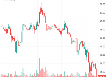 Tổng vốn hoá Tập đoàn Hoà Phát mất hơn 8.200 tỷ đồng ngay trong ngày tổ chức đại hội cổ đông thường niên - Ảnh 1.
