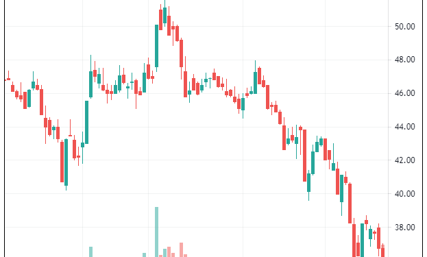 Tổng vốn hoá Tập đoàn Hoà Phát mất hơn 8.200 tỷ đồng ngay trong ngày tổ chức đại hội cổ đông thường niên - Ảnh 1.