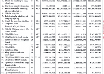 Xuất khẩu gạo khởi sắc, Trung An Rice (TAR) báo lãi quý 1/2022 gấp 8 lần cùng kỳ - Ảnh 1.