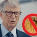 Bill Gates tham gia liên minh chống tiền điện tử