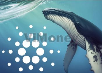 ViMoney: Cá voi Cardano giao dịch với khối lượng tăng vọt h1