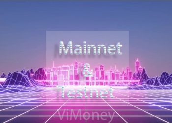 Mainnet & Testnet là gì? 03 bước cơ bản khi làm Testnet