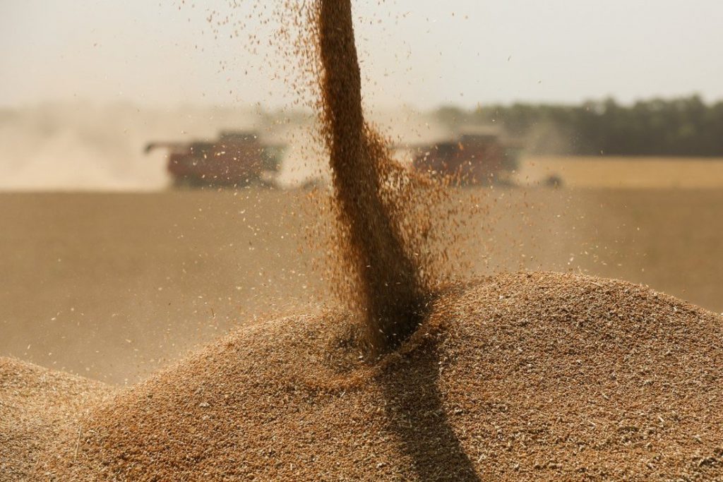 Ai Cập làm gì giữa khủng hoảng lúa mì?