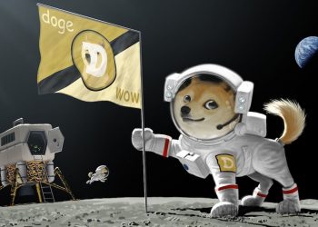 Người dùng chuẩn bị mua vật phẩm tại SpaceX bằng Dogecoin (DOGE)