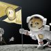 Người dùng chuẩn bị mua vật phẩm tại SpaceX bằng Dogecoin (DOGE)