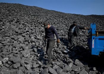 Đức đẩy mạnh nhập khẩu than từ Colombia