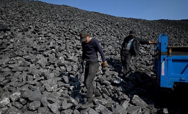 Đức đẩy mạnh nhập khẩu than từ Colombia