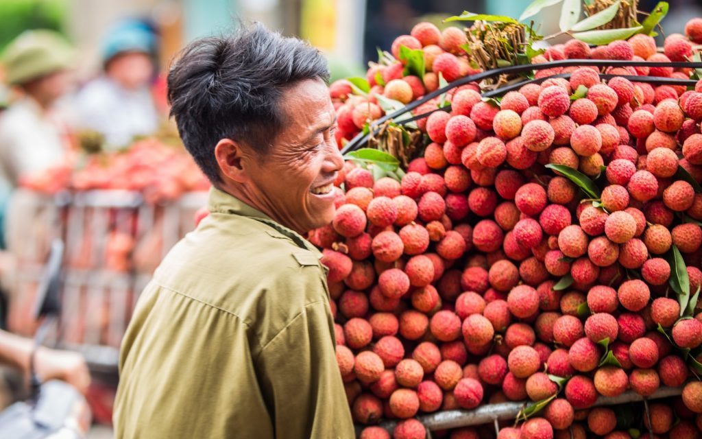 Hơn 100 thương nhân Trung Quốc được nhập cảnh mua vải thiều Bắc Giang