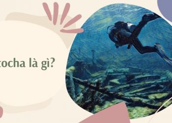 Atocha là gì? Trò chơi giải đố sinh lời thú vị nhất năm 2022