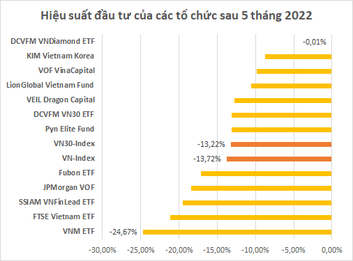 Các quỹ đầu tư lớn trên thị trường chứng khoán Việt Nam làm ăn ra sao trong tháng 5? - Ảnh 2.