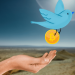 SuperCryptoNews