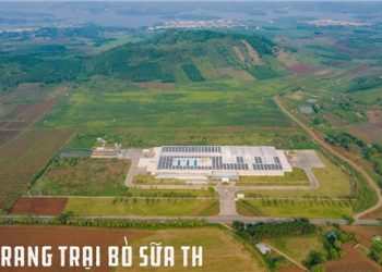 Cụm trang trại bò sữa TH: ‘Thắp sáng’ tương lai bằng năng lượng xanh