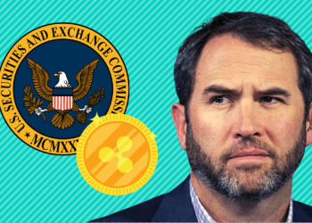 Giám đốc điều hành Ripple phát hiện ra mâu thuẫn trong các quy định về tiền điện tử của SEC