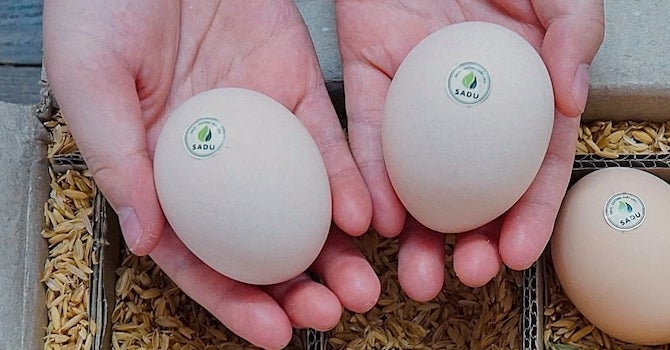 Startup Việt bán 2 triệu quả trứng cho giới thượng lưu 1