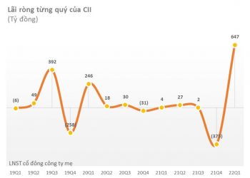 6 tháng đầu năm, CII ước lãi ròng 700 tỷ đồng, hoàn thành 93% kế hoạch năm, dự chi 2.800 tỷ đồng trả nợ gốc trái phiếu trước hạn - Ảnh 1.
