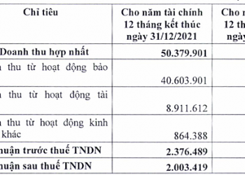 Bảo Việt trình kế hoạch cổ tức kỷ lục cho năm 2021 hơn 30% bằng tiền - Ảnh 1.
