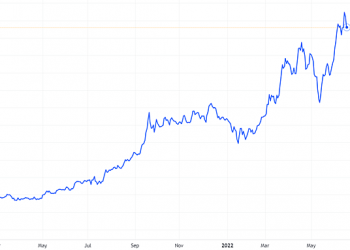 CEO Hóa chất Đức Giang mua 17% lượng cổ phiếu DGC đăng ký - Ảnh 1.