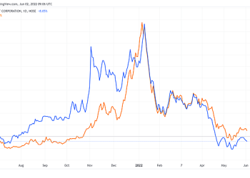 CII muốn bán thêm 10 triệu cổ phiếu NBB - Ảnh 1.