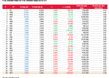 Các ETF ngoại sẽ cơ cấu danh mục thế nào trong kỳ review quý 2/2022? - Ảnh 1.
