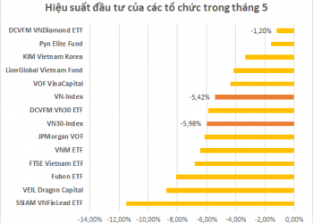 Các quỹ đầu tư lớn trên thị trường chứng khoán Việt Nam làm ăn ra sao trong tháng 5? - Ảnh 1.