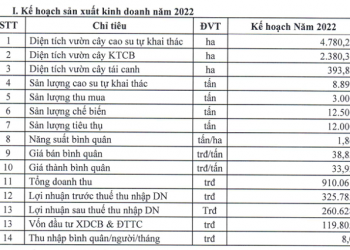 Cao su Đồng Phú trình chia cổ tức 2021 tỷ lệ 35%, kế hoạch lãi 2022 giảm 31% - Ảnh 1.