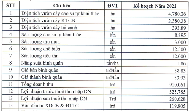 Cao su Đồng Phú trình chia cổ tức 2021 tỷ lệ 35%, kế hoạch lãi 2022 giảm 31% - Ảnh 1.