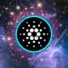 Cardano: Dự đoán của cộng đồng về “Sunshine và Rainbows” sau nửa đầu năm u ám