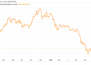 Chưa xác định phần vốn góp của HFIC, Chứng khoán TP HCM hoãn họp thường niên - Ảnh 1.