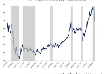 Chứng khoán Việt Nam hồi phục ra sao sau những lần rơi vào thị trường gấu? - Ảnh 1.