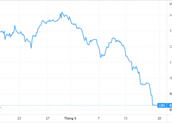 Cổ phiếu giảm sàn 5 phiên liên tiếp, LDG khẳng định hoạt động kinh doanh bình thường - Ảnh 1.