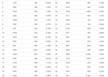 Cổ phiếu ngân hàng chiếm tỷ trọng lớn nhất cơ cấu danh mục quỹ midcap của Dragon Capital - Ảnh 1.