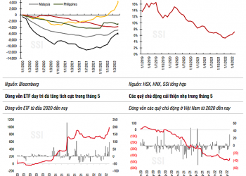 Công ty chứng khoán nhận định ra sao về biến động VN-Index tháng 6? - Ảnh 1.