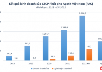 Công ty sản xuất phốt pho vàng của DGC sắp lên sàn UpCoM - Ảnh 1.