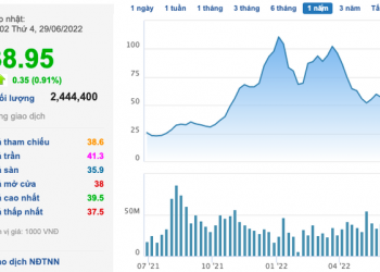 DIC Corp (DIG) bị cưỡng chế về thuế hơn 30 tỷ đồng - Ảnh 1.