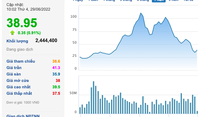 DIC Corp (DIG) bị cưỡng chế về thuế hơn 30 tỷ đồng - Ảnh 1.