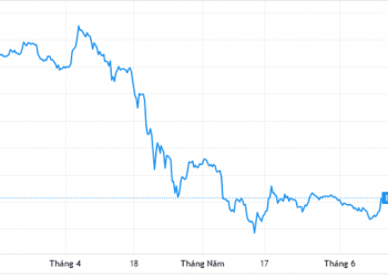 Đầu tư I.P.A trình kế hoạch lợi nhuận 2022 giảm gần 50% - Ảnh 1.