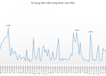 Đẩy mạnh giải ngân cổ phiếu, quỹ lớn nhất của Dragon Capital nắm giữ lượng tiền mặt thấp nhất trong vòng 6 tháng - Ảnh 1.