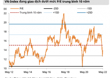Định giá thị trường chứng khoán Việt Nam đang trở nên hấp dẫn hơn sau đợt điều chỉnh - Ảnh 1.