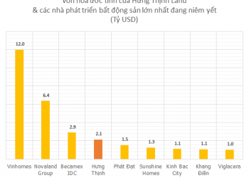 ViMoney: Định giá vượt 2 tỷ USD, cả Dragon Capital cũng rót 78 triệu USD vào Hưng Thịnh Land h1