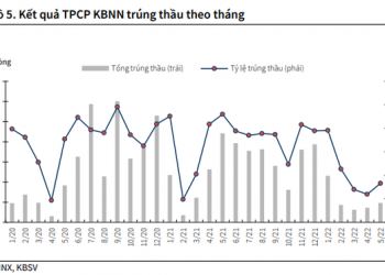 Doanh nghiệp bất động sản đang có 98.000 tỷ đồng trái phiếu phải trả nợ trong năm 2022, áp lực ra sao? - Ảnh 1.