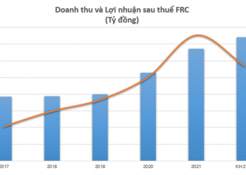 Doanh nghiệp xuất khẩu gỗ tăng trưởng lợi nhuận đều đặn qua từng năm nhưng chưa từng chia cổ tức từ khi lên sàn chứng khoán - Ảnh 1.