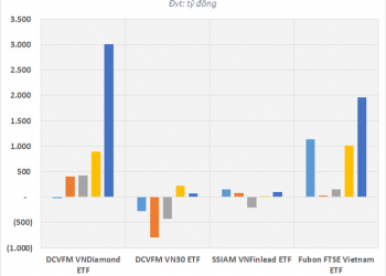 Dòng vốn bùng nổ qua các quỹ ETF, nhà đầu tư sắp có thêm lựa chọn với “khẩu vị” MIDCAP - Ảnh 1.