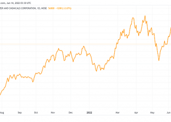 Dragon Capital trở thành cổ đông lớn Đạm Phú Mỹ - Ảnh 1.